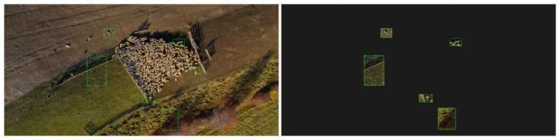Screenshot showing full aerial image on the left compared to what the model can see once training areas have been defined