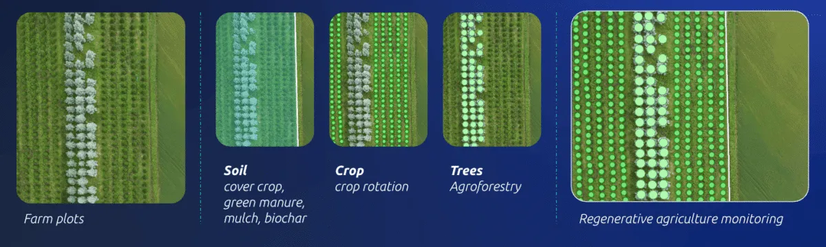 Infographic showing regenerative agriculture monitoring with examples of soil, crop rotation, and agroforestry plots