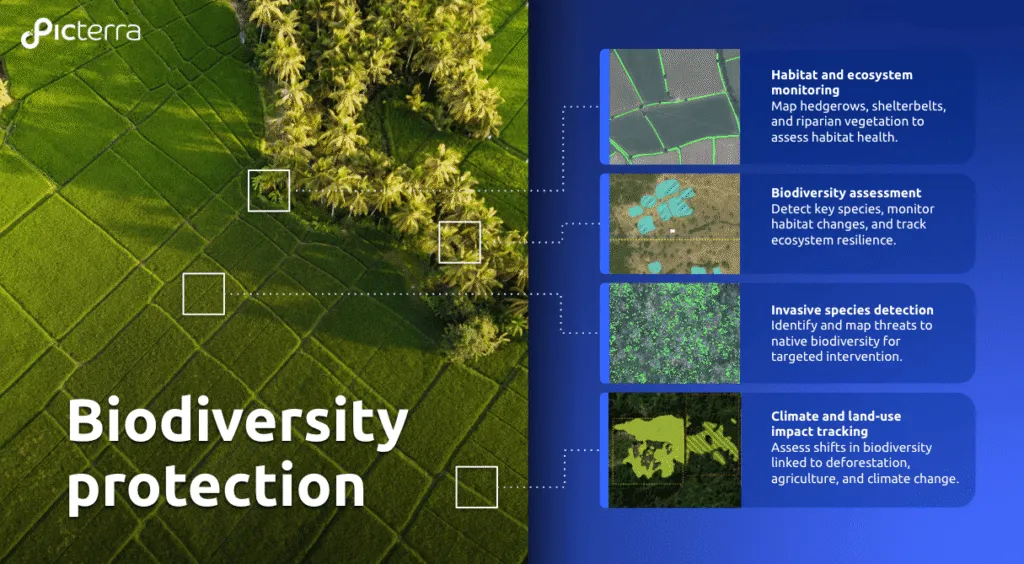 Picterra infographic on biodiversity protection with use cases for habitat, species, and climate monitoring.