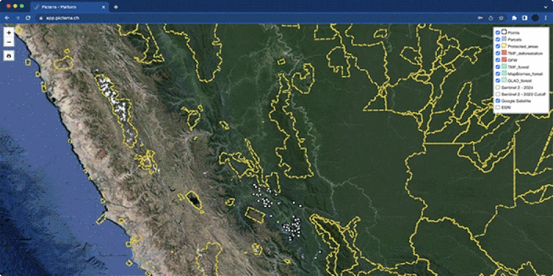 deforestation risk detection, showing areas at risk and natural forest layer