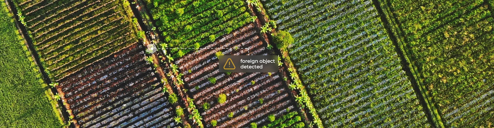Aerial view of crop fields with a digital alert highlighting a foreign object detected on the ground, illustrating how GeoAI identifies contaminants before harvest.