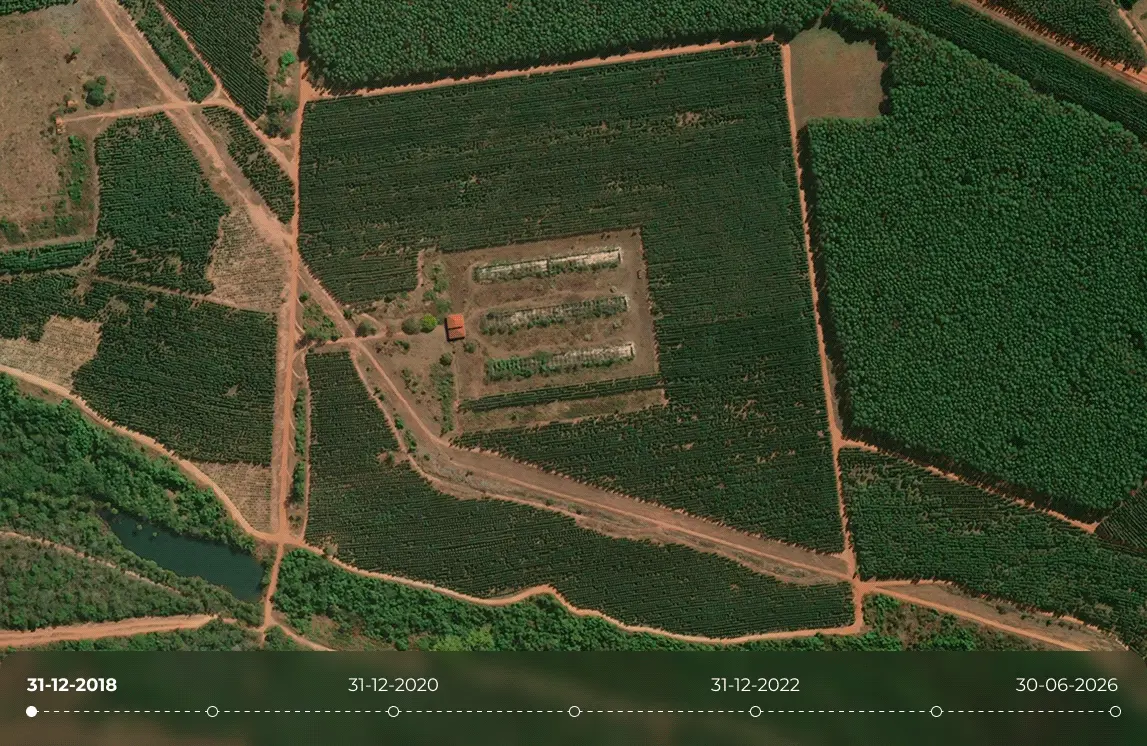agroforestry