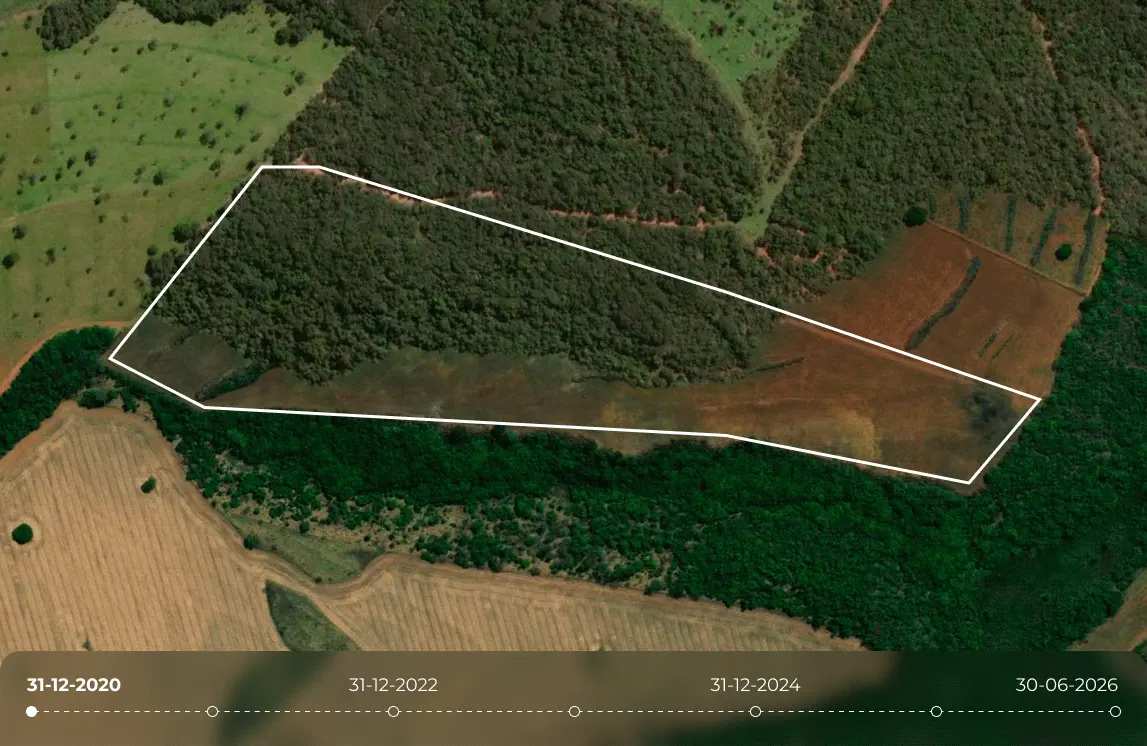 Satellite timelapse footage featuring a white-outlined polygon plot over time, illustrating progressive deforestation and land clearing from late 2020 through mid-2026. showcase of Picterra carbon intelligence.