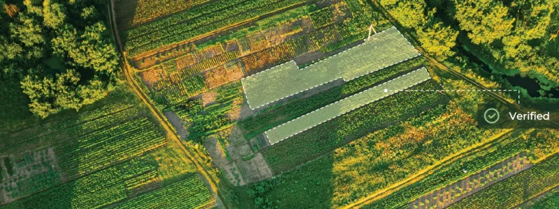 Turning regenerative agriculture into measurable progress with GeoAI